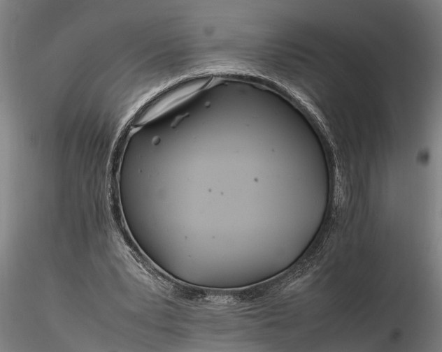 X0000116350391200912151356