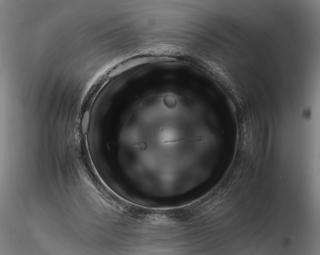 X0000116350392200912151356