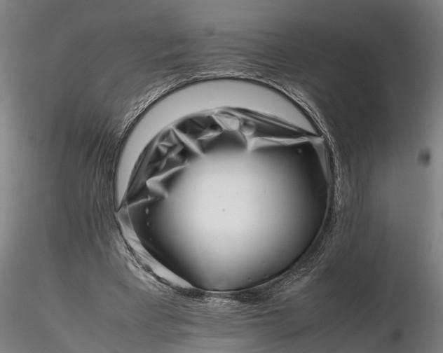 X0000116350393200912151356