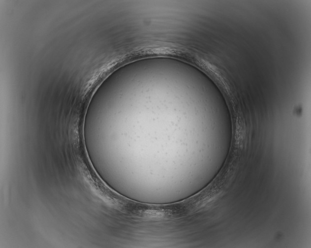 X0000116350394200912151356