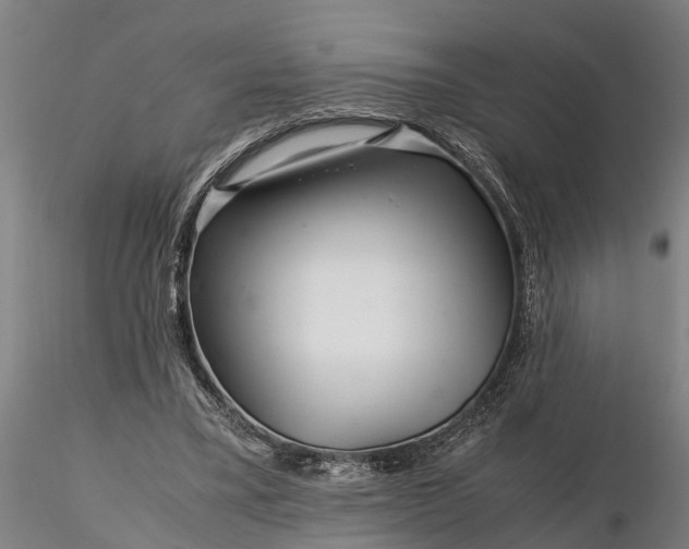 X0000116350395200912151356