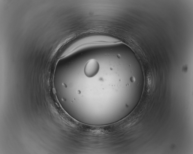 X0000116350396200912151356