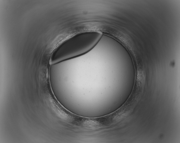 X0000116350397200912151356