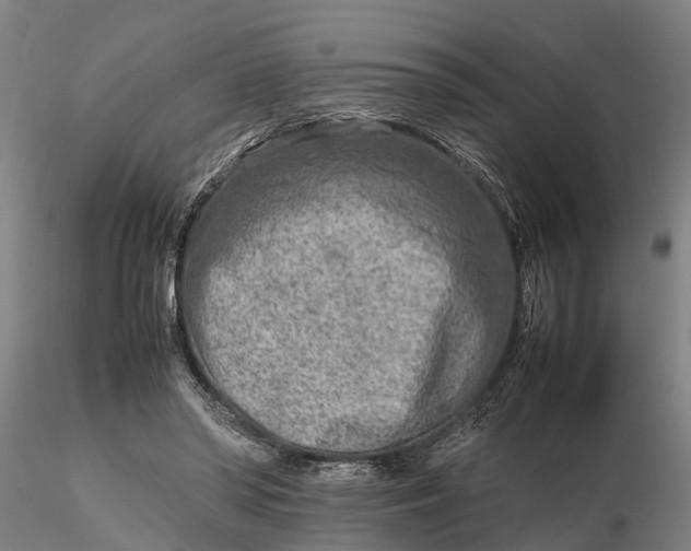 X0000116350398200912151356