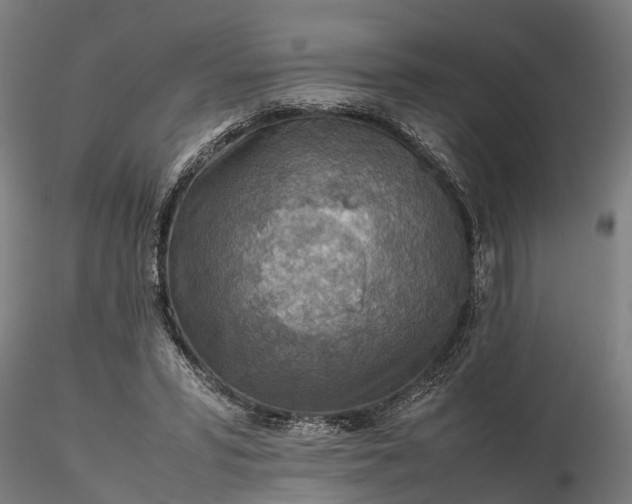 X0000116350399200912151356