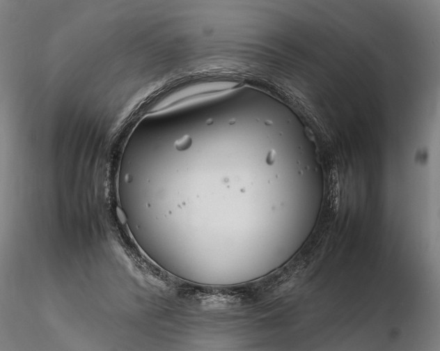 X0000116350400200912151356