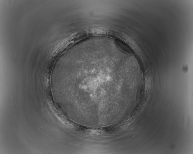 X0000116350401200912151356