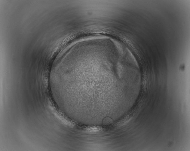 X0000116350402200912151356