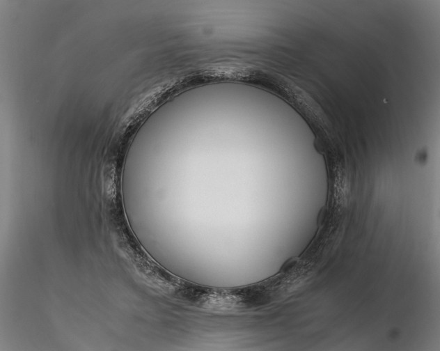 X0000116350403200912151356