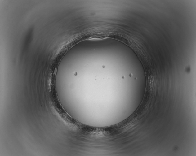 X0000116350404200912151356