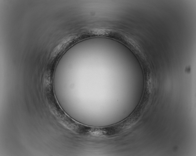 X0000116350407200912151356