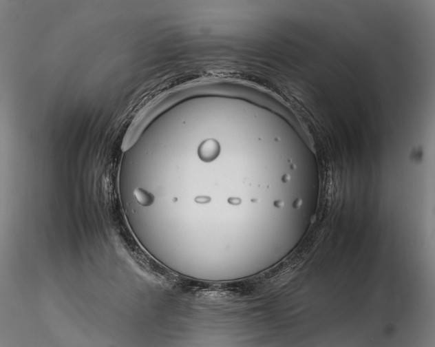 X0000116350408200912151356