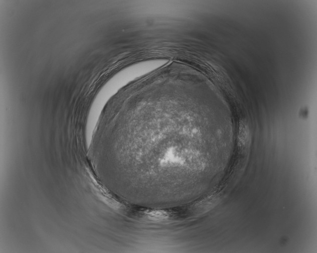 X0000116350409200912151356