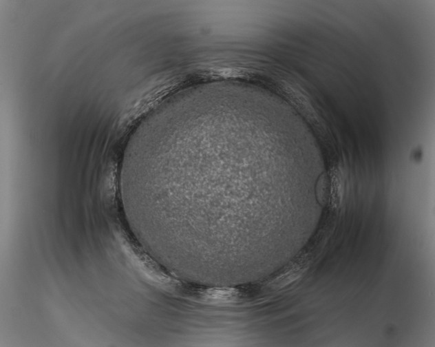 X0000116350410200912151356