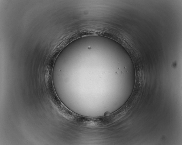 X0000116350412200912151356