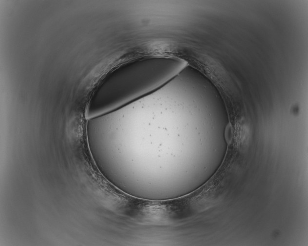 X0000116350413200912151356