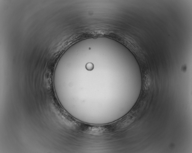 X0000116350414200912151356