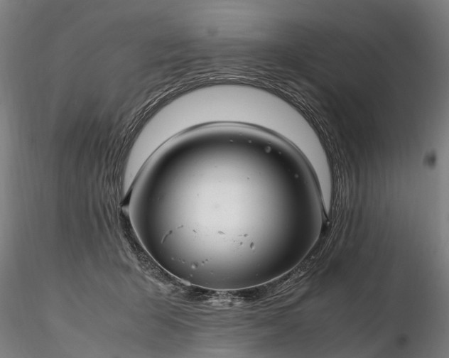 X0000116350415200912151356