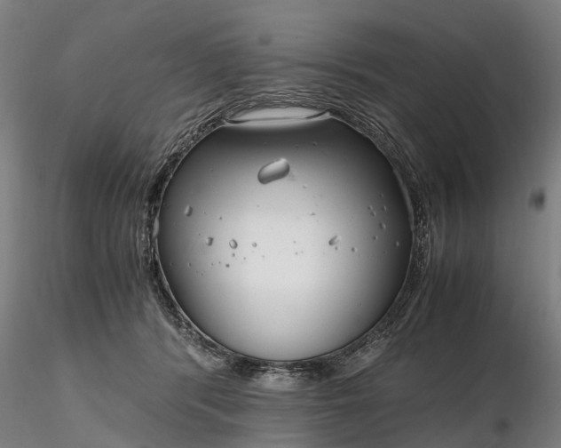 X0000116350416200912151356