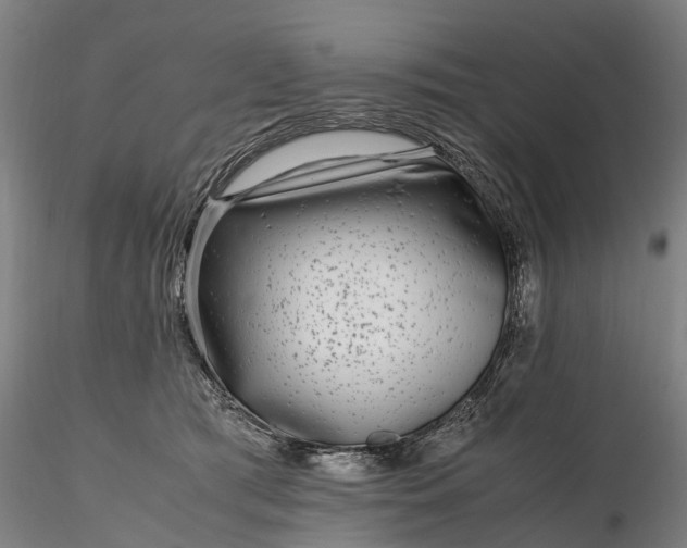 X0000116350417200912151356