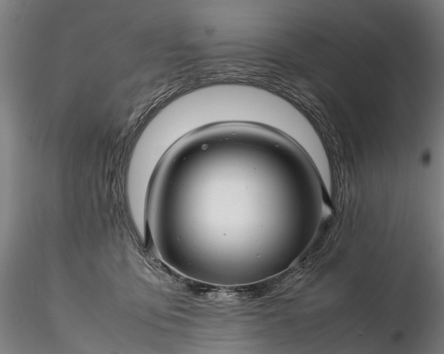 X0000116350419200912151356