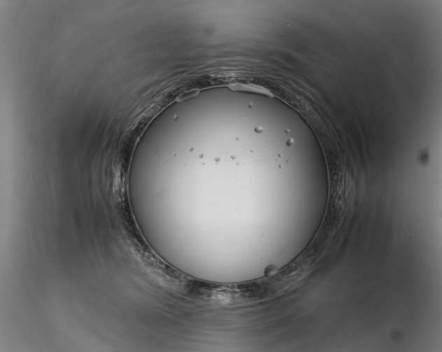 X0000116350420200912151356