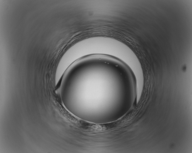 X0000116350421200912151356