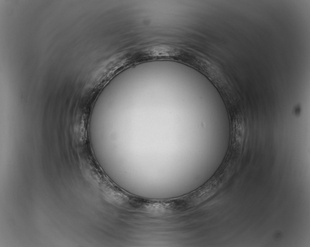 X0000116350422200912151356