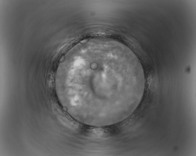 X0000116350423200912151356