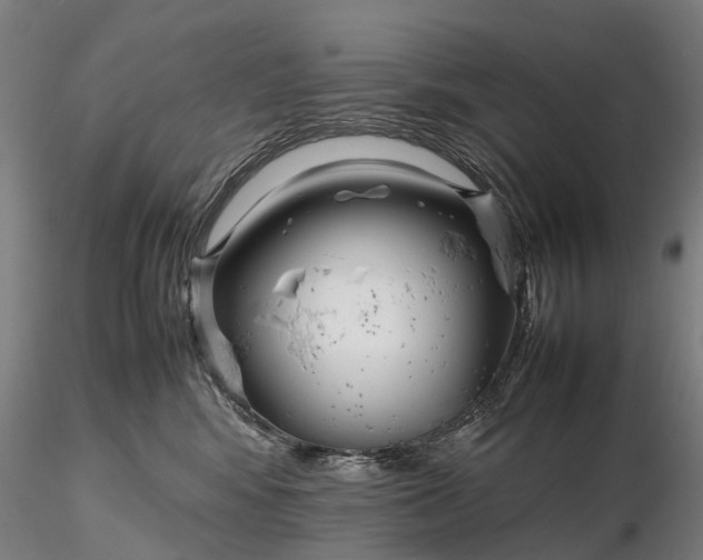 X0000116350424200912151356