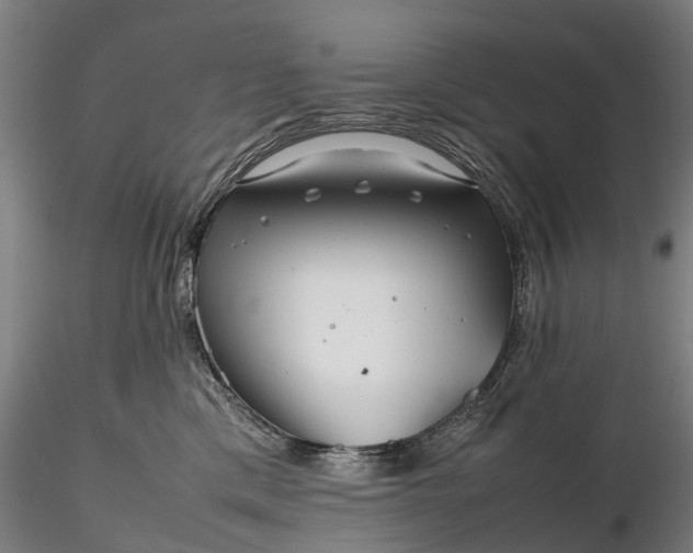 X0000116350425200912151356