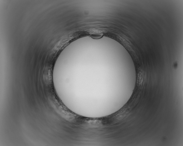 X0000116350426200912151356