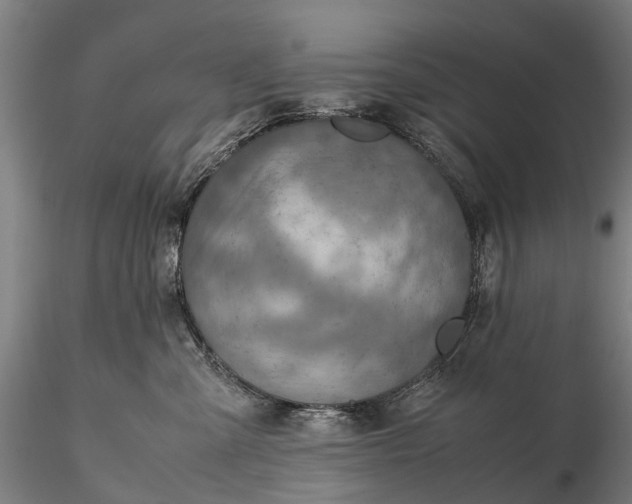 X0000116350427200912151356