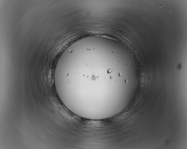 X0000116350428200912151356