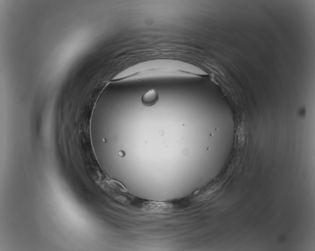 X0000116350429200912151356