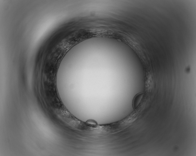 X0000116350430200912151356