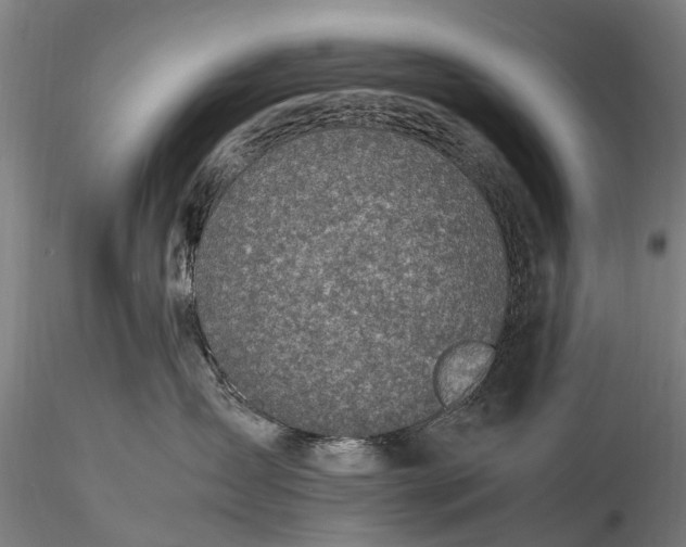 X0000116350431200912151356