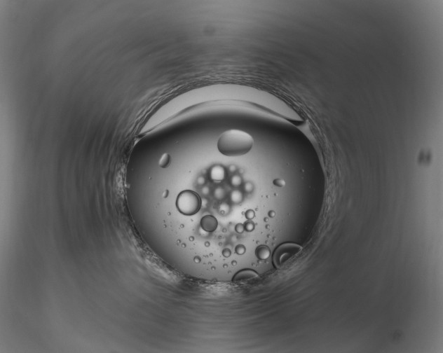 X0000116350432200912151356