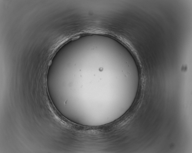 X0000116350433200912151355