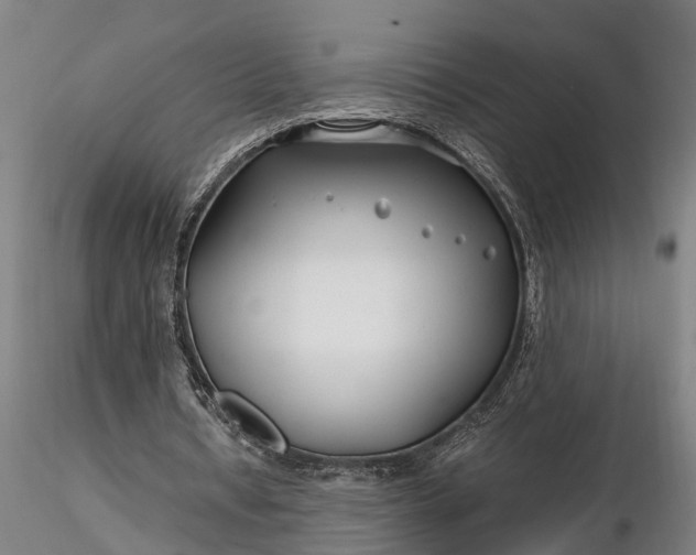 X0000116350434200912151355