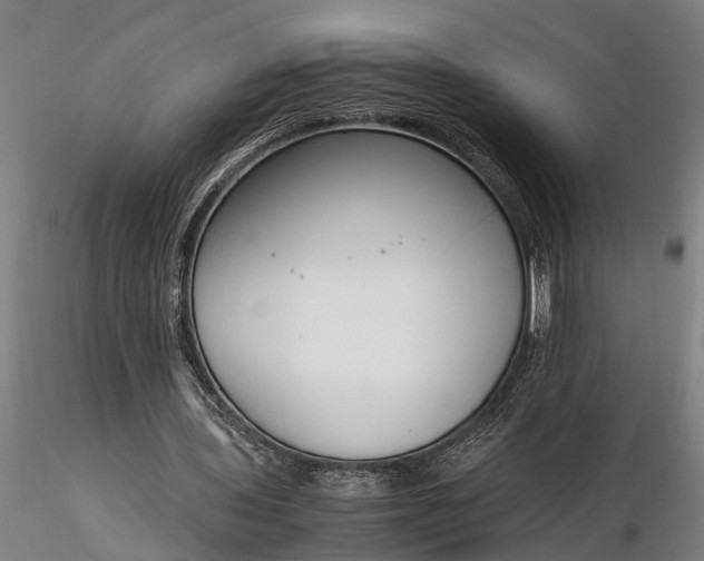 X0000116350435200912151355