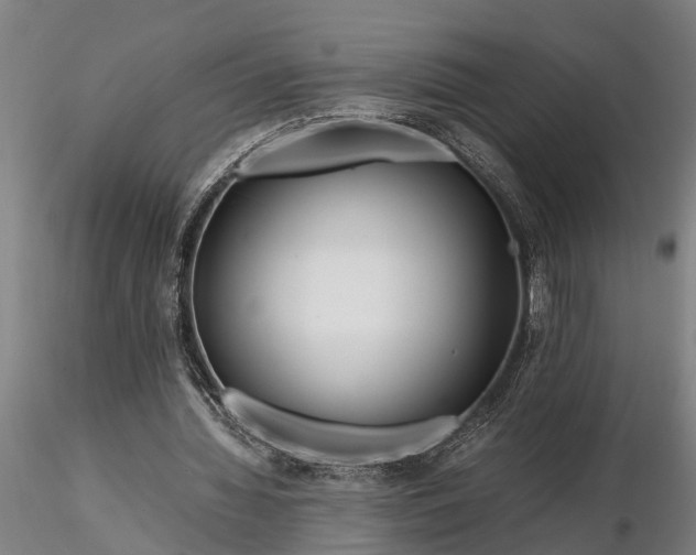 X0000116350436200912151355