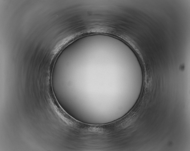 X0000116350437200912151355