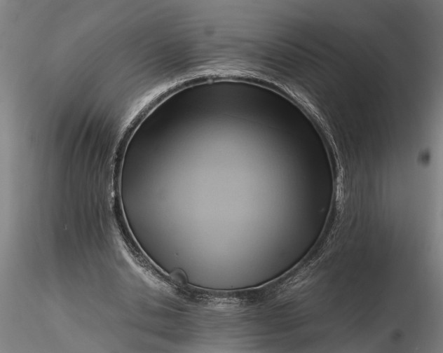 X0000116350438200912151355