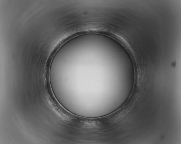 X0000116350439200912151355