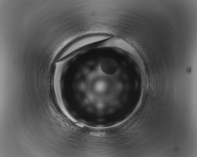 X0000116350440200912151355