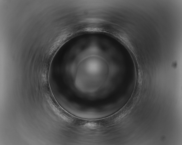 X0000116350441200912151355