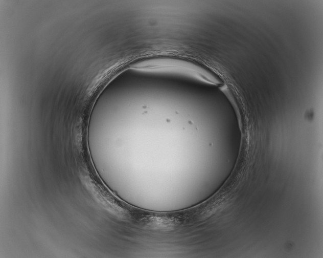 X0000116350442200912151355