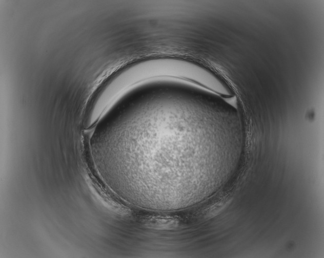 X0000116350443200912151355