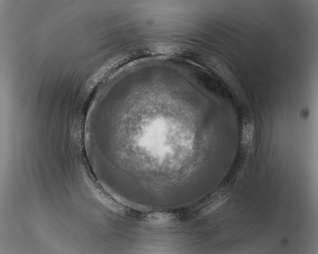 X0000116350444200912151355